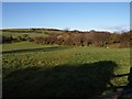 Field at Fenton Pits