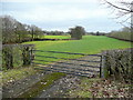 Pastures by the Clawdd Brook