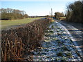 Country road near Berrow Green