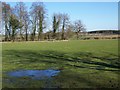 Pasture near Quenington