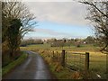 Lane to Trevillyn