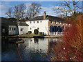 Stable Block and Coach Washing Pond, Saltram House