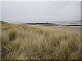 NU2033 : St Aidan's Dunes and Beach by Les Hull