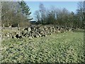 Pile of  boulders