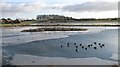 Pond off Piper Dam