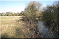 River Leam above Welsh Road bridge