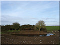 Mud and Ice, Castle Farm