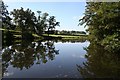 Old millpond near Utkinton