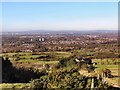 Werneth Low