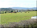 Usk valley pasture