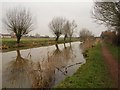 ST3134 : Bridgwater & Taunton Canal by Derek Harper