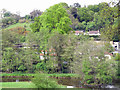 View from Marley Common