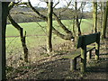 SK4863 : Seat on the Rowthorne Trail by Alan Murray-Rust