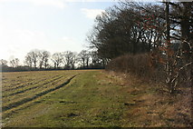 TQ4536 : High Weald Landscape trail follows the hedge near North Clays by N Chadwick