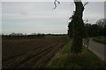 Unnamed road, south of Happisburgh