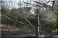 National  Cycleway waymarker, Forest Way