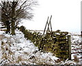 Rotting stile onto Barningham Moor