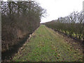 Footpath past Harefield Park