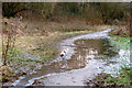 Muddy patch in a cutting of  the ex-Great Central Railway, Rugby