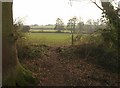 Towards the Durleigh Brook