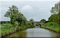 Shropshire Union Canal near Nantwich, Cheshire