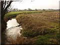 Durleigh Brook