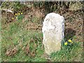 Boundary stone near Lytchett Matravers