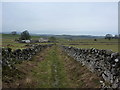 Green track leading down to Burrs Farm