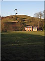 Hill with a tree, Shelsley Walsh