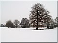 Hop Farm in the Snow