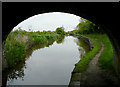 Llangollen Canal approaching Swanley Lock No 2, Cheshire