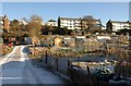 Allotments, Barton Hill Way