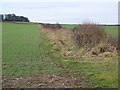 Arable land near Winterborne Tomson