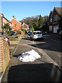 Lingering snow pile in Lion Lane