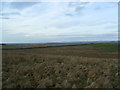 Looking NW on Allieshaw Rigg