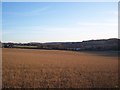 View from the Bonny Bush Lane bridleway