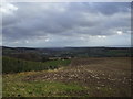 Stubble field