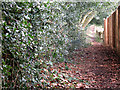 Footpath to Motts Hill Lane