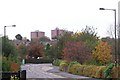 Autumn Colours in Wood Lane, Malin Bridge, Sheffield