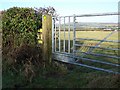 Gate, Cucklington