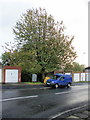 Joinery van alongside tree, Brynglas Avenue