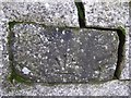 Stone with bench mark, Gortfinbar