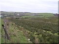 Gortfinbar Townland