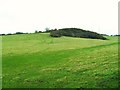 Ballyclander Upper Townland