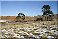 NX7595 : A frozen pond to the west of Dry Burn by Walter Baxter