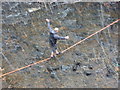 SD8815 : Tightrope walker crossing the River Spodden by Alexander P Kapp