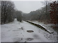 The remains of Broadley Station