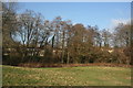 A line of trees along a stream on the southern edge of East Grinstead