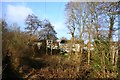 Houses, Lister Avenue