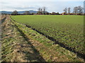 Footpath to Gilbert